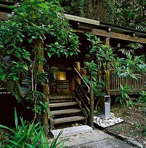 Ferntree Rainforest Lodge Cape Tribulation Camelot Close