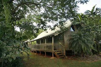 Ferntree Rainforest Lodge Cape Tribulation Camelot Close