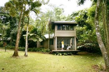 Ferntree Rainforest Lodge Cape Tribulation Camelot Close