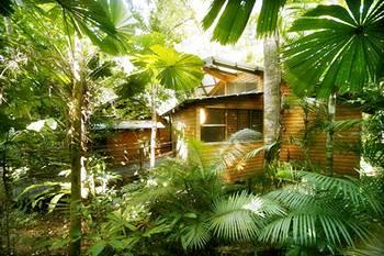 Ferntree Rainforest Lodge Cape Tribulation Camelot Close