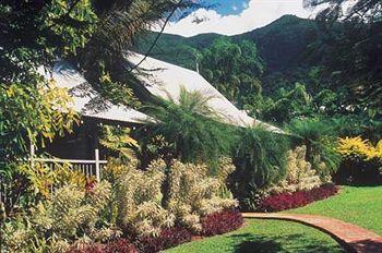 Ferntree Rainforest Lodge Cape Tribulation Camelot Close