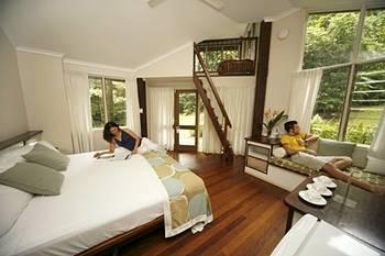 Ferntree Rainforest Lodge Cape Tribulation Camelot Close