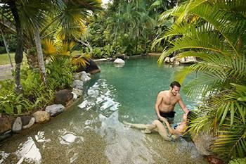 Ferntree Rainforest Lodge Cape Tribulation Camelot Close