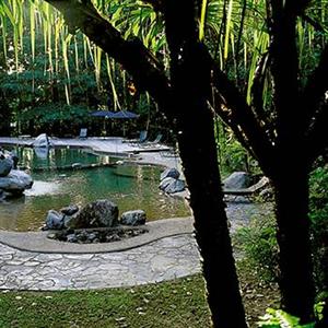 Ferntree Rainforest Lodge Cape Tribulation Camelot Close