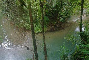 Daintree Heritage Lodge Cape Tribulation Turpentine Road Cooper Creek Lot 236