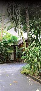 Daintree Heritage Lodge Cape Tribulation Turpentine Road Cooper Creek Lot 236