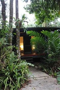 Daintree Heritage Lodge Cape Tribulation Turpentine Road Cooper Creek Lot 236