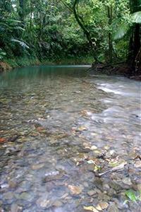 Daintree Heritage Lodge Cape Tribulation Turpentine Road Cooper Creek Lot 236