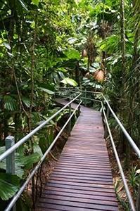 Daintree Wilderness Lodge Cape Tribulation 83 Cape Tribulation Road Alexandra Bay