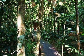 Daintree Wilderness Lodge Cape Tribulation 83 Cape Tribulation Road Alexandra Bay