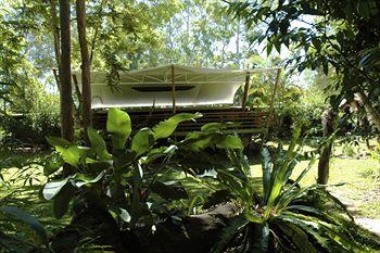 Cedar Park Rainforest Resort Mareeba 250 Cedarpark Road