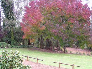 Forest Lodge Resort Pemberton 2 Vasse Highway