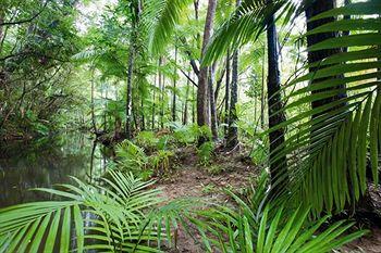 Port Douglas Retreat 31-33 Mowbray Street