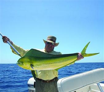 Green Turtle Club Resort And Marina Green Turtle Cay Green Turtle Cay