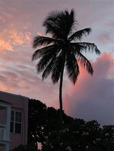 Southern Palms Beach Club Hotel Christ Church Saint Lawrence Gap