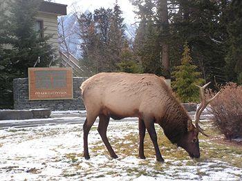 Juniper Hotel Banff 1 Timberline Way