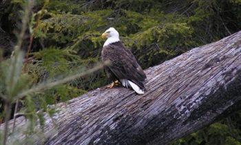 Long Beach Lodge Resort Tofino 1441 Pacific Rim Highway P.O. Box 897 