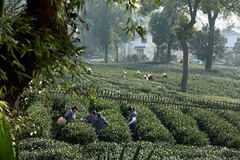 Landison Longjing Resort Hangzhou 86 Li Ji Long Mountain, Longjing Road, Xi Hu District