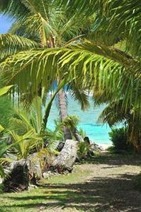 The Cooks Oasis Holiday Villas Rarotonga Arorangi