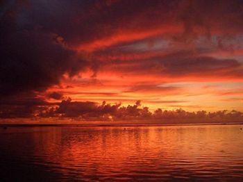 The Cooks Oasis Holiday Villas Rarotonga Arorangi