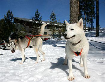 Hotel Kalevala Kuhmo Väinämöinen 9