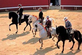 Royal Hotel Aigues-Mortes 939 Route De Nimes