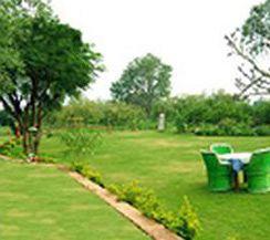 Alwar Bagh Resort Jaipur Road, Village Dhawala