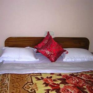 Snow Lion Homestay Hotel Darjeeling 27 A Gandhi Road