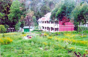 Green Acres Resort Kodaikanal 11/213, Lake Road