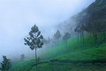 Misty Mountain Resort Munnar Randam Mile/Second Mile Junction, Pallivasal