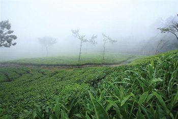 Misty Mountain Resort Munnar Randam Mile/Second Mile Junction, Pallivasal