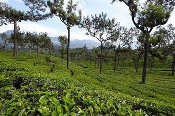 Elysium Gardens Hill Resorts Munnar Top Station Road