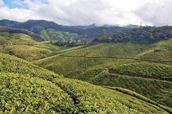 Elysium Gardens Hill Resorts Munnar Top Station Road