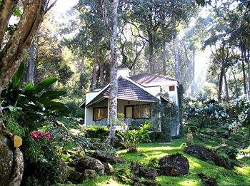 The Tall Trees Resorts Munnar PB. No. 40