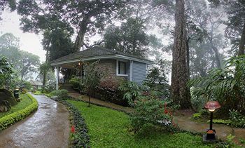 The Tall Trees Resorts Munnar PB. No. 40