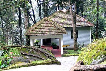 The Tall Trees Resorts Munnar PB. No. 40