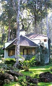 The Tall Trees Resorts Munnar PB. No. 40