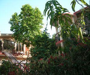 Corbett Treff Hotel Ramnagar Ranikhet Road, Village Dhikuli