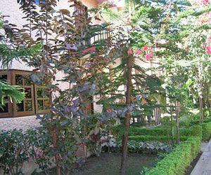 Corbett Treff Hotel Ramnagar Ranikhet Road, Village Dhikuli