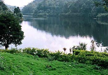 Hotel Ambadi Thekkady Ambadi Junction