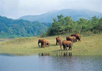 Hotel Ambadi Thekkady Ambadi Junction