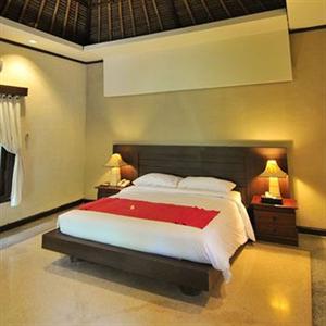 Tony's Villa Bali Jalan Petitenget Kerobokan Kuta