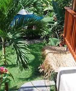 Adi Cottages Bali Monkey Forest Street Ubud Jalan Wenara Wana