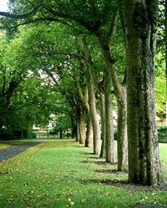 Herbert Park Hotel Dublin Ballsbridge