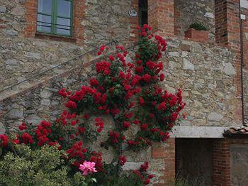 Borgo Casabianca Hotel Asciano Localita Casabianca