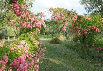 Hotel Villa Vecchia Monte Porzio Catone Via Frascati 49