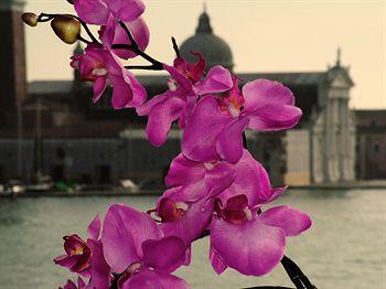 Hotel Paganelli Venice Riva Degli Schiavoni 4182