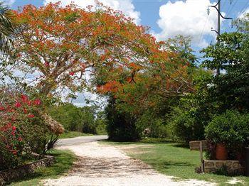 Dolores Alba Motel Chichen Itza Km 122 Carretera Merida-Cancun