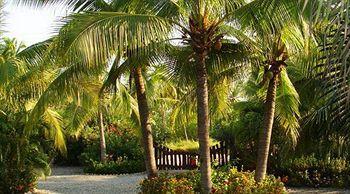 Hotel Las Palmas Zihuatanejo Lot 5, Playa Blanca