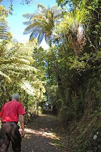 Waitakere Estate Hotel 573 Scenic Drive Waitakere